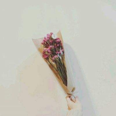 黑白道手游下载